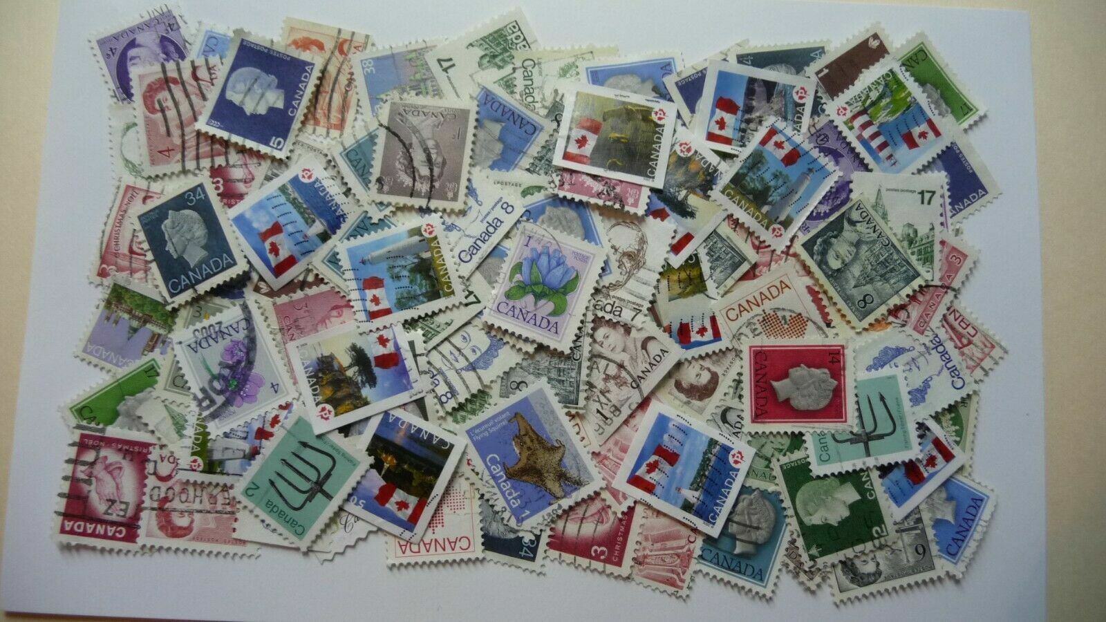 Bild 9 von 10