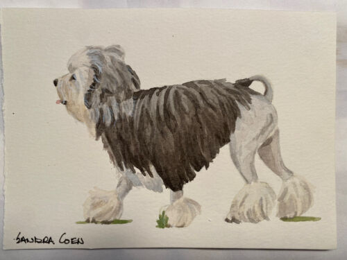 Lowchen Original Watercolor Painting  By Sandra Coen of Trotting Dog - 第 1/1 張圖片