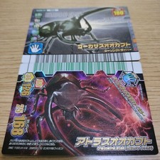 Beetle King Musking Caucasian beetle Atlas beetle #a67f37