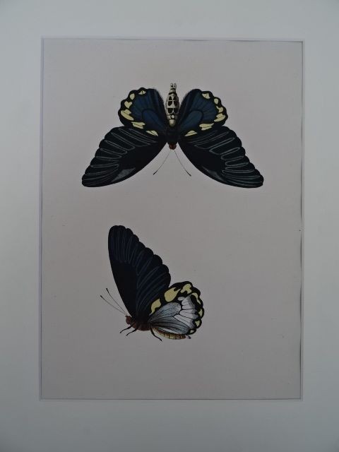 Bild 2 von 4