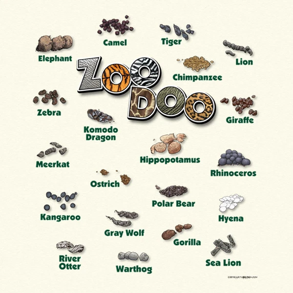 10 Animals That Poop Pellets AZ Animals, 55 OFF