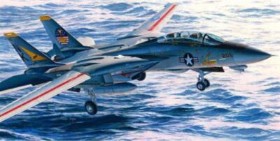HASEGAWA F-14 A TOMCAT PAZIFIK FLEET SQUADRON 