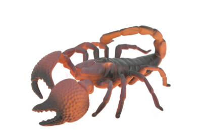 Scorpion, Large Rubber Arachnid, Toy, Realistic Figure, Gift, 7'' ABC03 B493