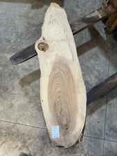 White Ash slab #2513, live edge slab, unfinished, free shipping