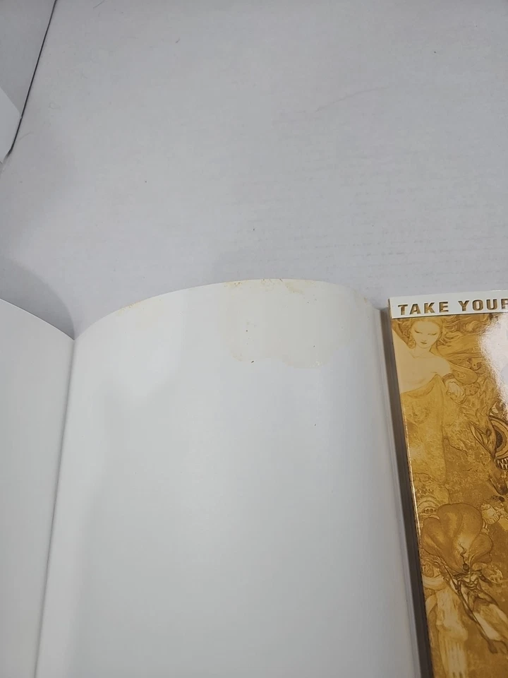 Libro guía de estrategia Final Fantasy XI Online Atlas con chaqueta Yoshitaka Amano Foto 3 de 4