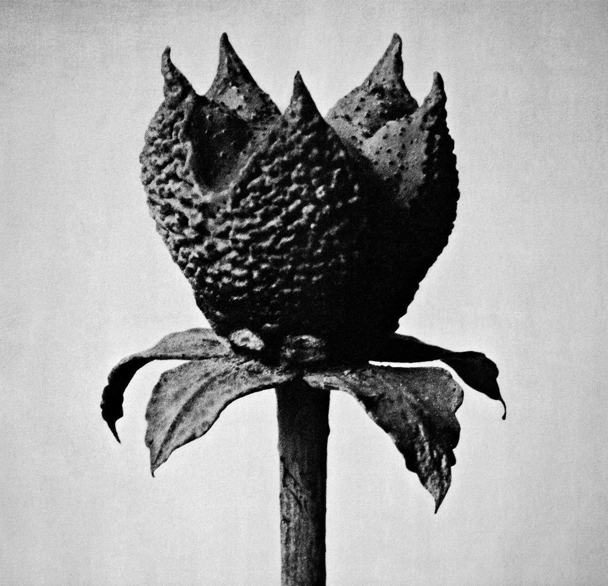 Book of Life [CD] Masayoshi Fujita [Ex-Lib. DISC-ONLY]