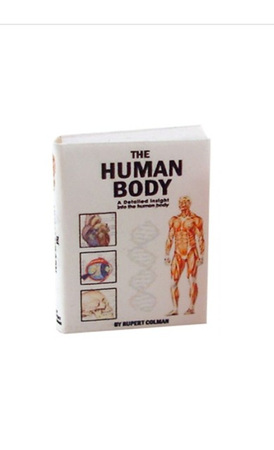 human miniature dolls