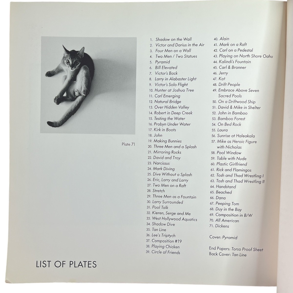 Tom Bianchi Out of the Studio Adult Male B/W Photos Paperback USA