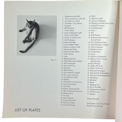 Tom Bianchi Out of the Studio Adult Male B/W Photos Paperback USA