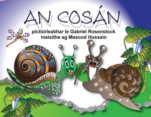 An Cosn by Gabriel Rosenstock Paperback Book