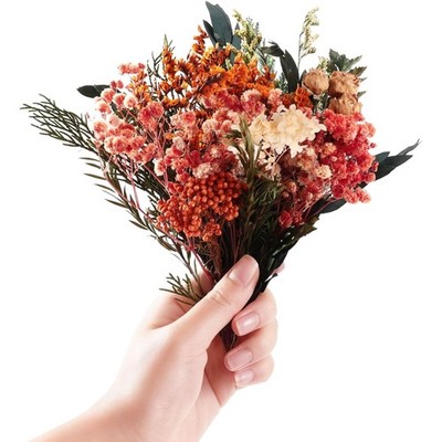 Mini Trockenblumen Set Dried Flowers Pflanzen Hochzeits Tischdeko Boho Indoor