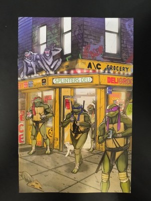 Teenage Mutant Ninja Turtles #1 Natwa VIRGIN - TMNT - (DAMAGED) - 1/2 PRICE