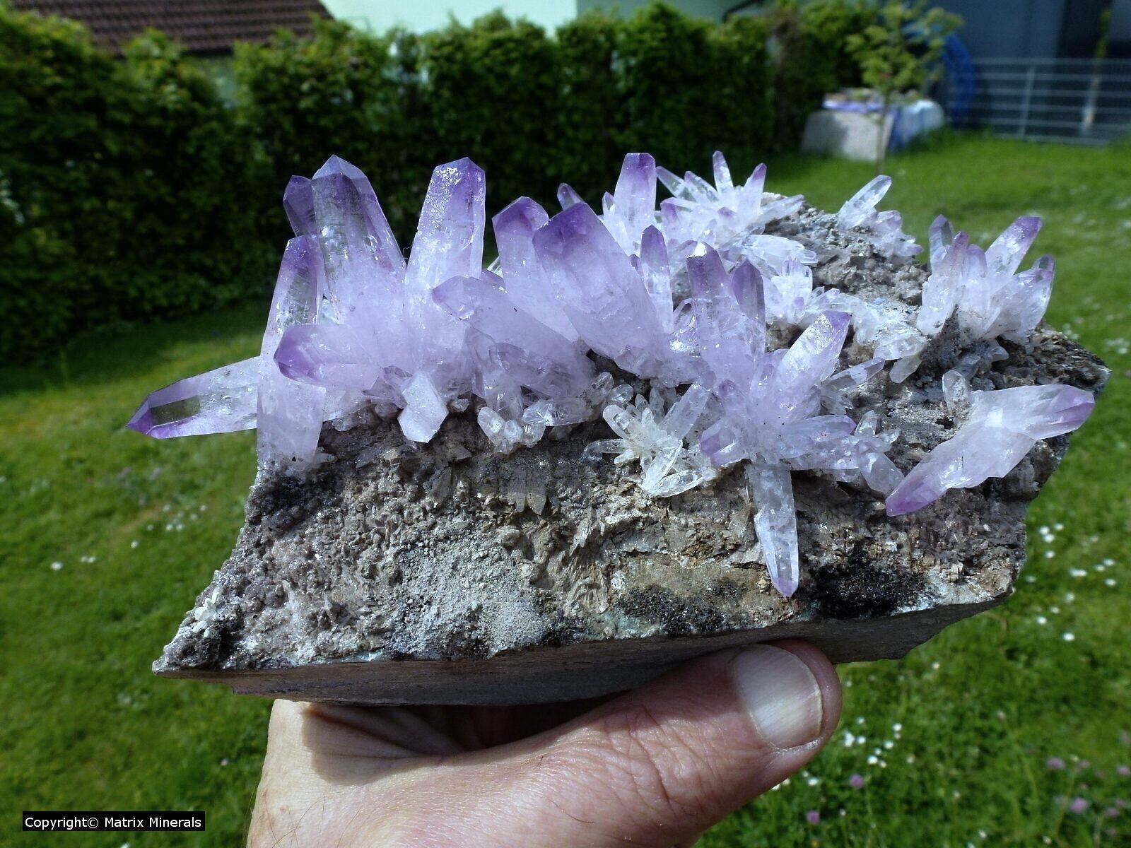 Amethyst Quartz von Las Vigas, Veracruz Mexiko # 21