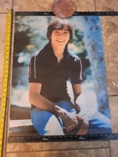 SCOTT BAIO 1978 Charles in Charge Happy Days TV Canada Kedd Pro Arts Poster 