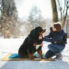 Portable, Waterproof Roll-Up Dog Bed Mat, Extra-Large, Tan/Teal 00344 