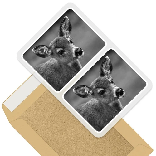 2 x Rectangle Stickers 10cm BW - Cute Black Tailed Deer Fawn #37313
