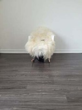 Icelandic Sheepskin rug soft silky long color 100 natural c9