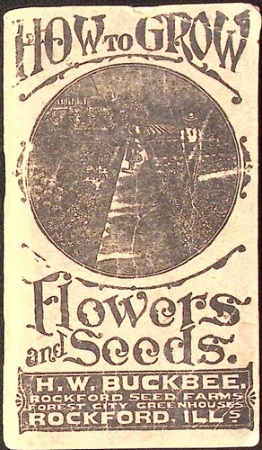 1918 How to Grow Flowers and Seeds Booklet H.W. Buckabee Rockford IL