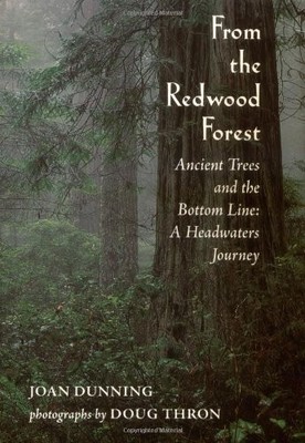 From the Redwood Forest : Ancient Trees and the Bottom Line: A Headwaters Jo...