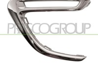 Prasco Modanatura Dekorativ Schutz, KüHlergrill PG2061203, Chrom