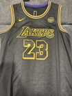 Nike Lakers 23 LeBron James Swingman Jersey Size 50 Lore Series Snakeskin Bibigo