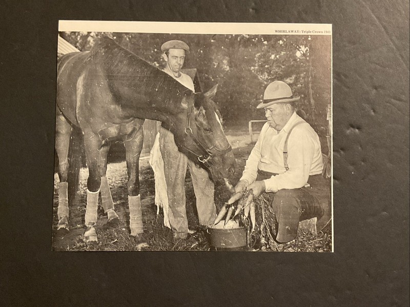 WHIRLAWAY ENJOYING SOME CARROTS PHOTO HORSE RACING 1941 TRIPLE CROWN