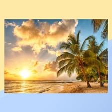  Studio Background Cloth Child Seaside Decorations Tropical Party Photo Backdrop