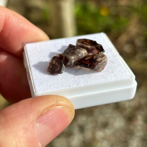 Axinite Specimen Natural Rough Pieces gemstone Gem grade 20 carat USA EO-846 - Picture 2 of 6