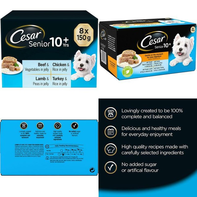 cesar senior dog food