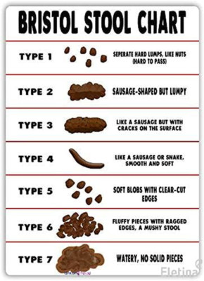 Small Stools Label Bristol Stool Chart Metal Sign Poop Toilet Health Bathroom Indoor and ...