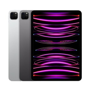 iPad Pro 11in 4th Generation | eBay