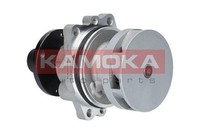 Kamoka T0058 Wasserpumpe, MotorküHlung For Audi BMW Ford Ford USA KIA Land Rover