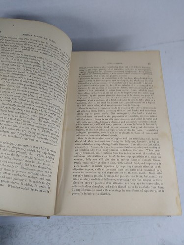1877 King's New American Family Physician By John King - Afbeelding 17 van 19