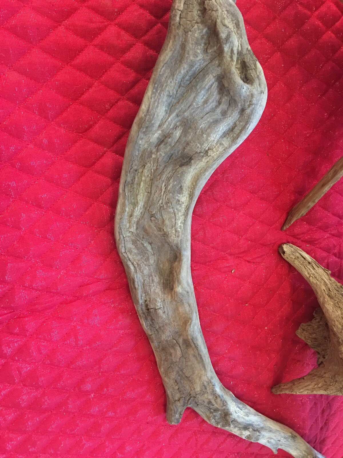 Picture 4 of 8
