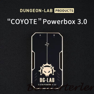 DG-LAB 3.0 Shock Themed Device APP Remote Control Power Box SM Player for Couple