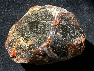 Beautiful Green Spotted AMBER Fossil Gemstone Large 83 gram Piece