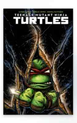 TMNT #1 -Cover C Variant - IDW Comics- 2024