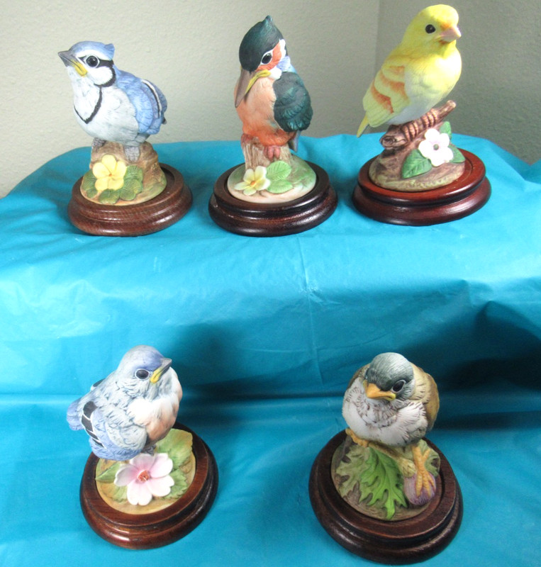 Five Baby Birds by Andrea Sadek Gold Finch Blue Bird King Fisher Canary Blue Jay