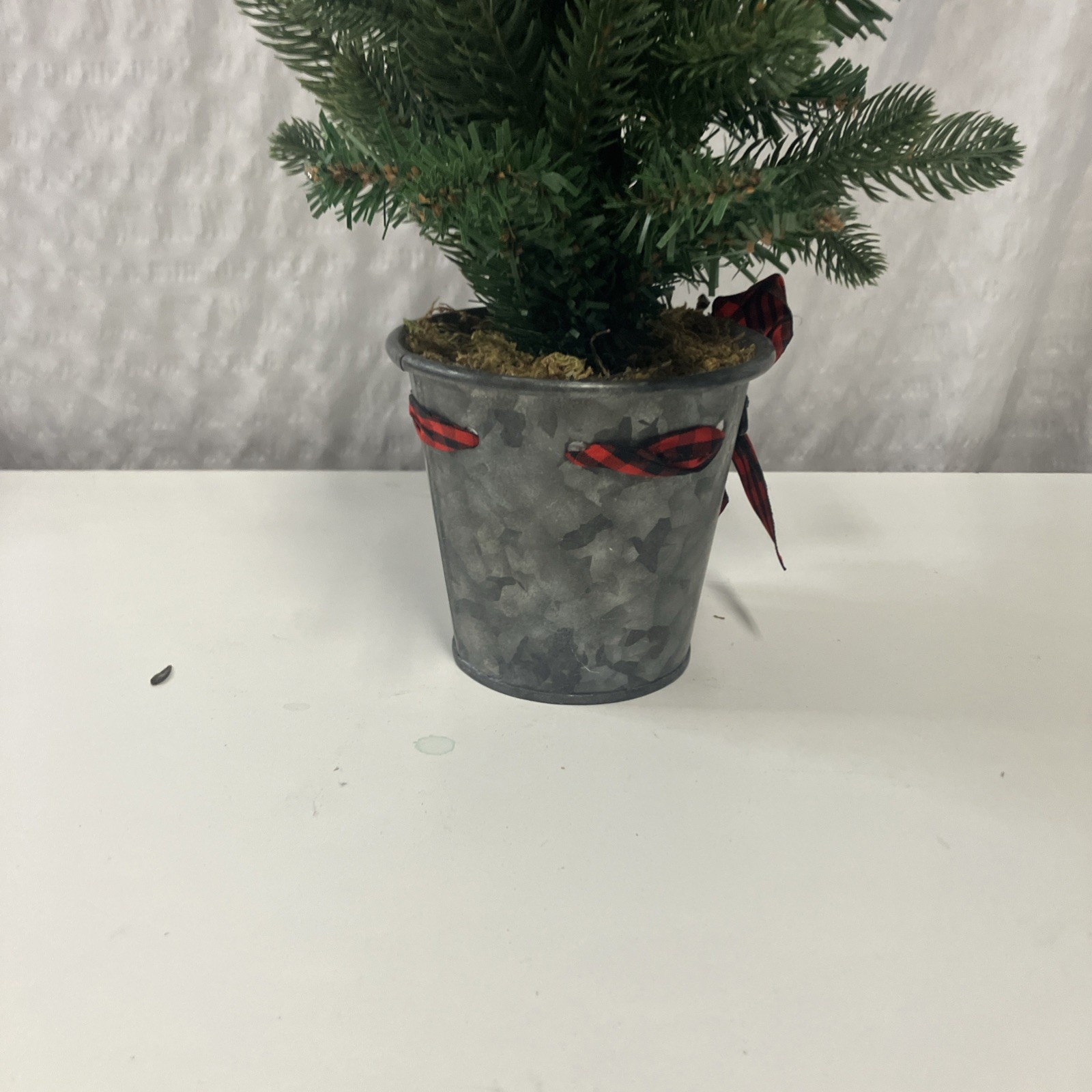 Picture 10 of 11
