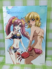 y13 Animation Cel Art Megahouse Gundam SEED Destiny Photo Collection Cel D PHASE