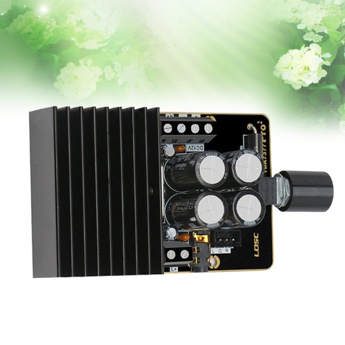 Scheda Amplificatore 12V Potenza Home Audio Modulo Frequenza Vocale - Foto 8 di 12