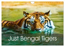 Just Bengal Tigers (Wall Calendar 2026 DIN A4 Landscape), CALVENDO 12 Month Wall