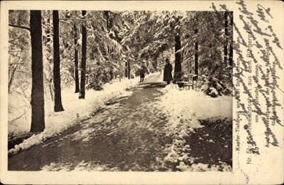 Postcard Hanseatic city of Bremen, no. 51, snow landscape from the Bürgerpark,... - 4977698