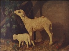 Antica stampa colori anni 30 (1930-1939) – F. PAOLO MICHETTI – PECORA E AGNELLO