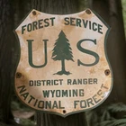 Vintage Wyoming Forest Service Porcelain Sign National Park Service USA 20"x 18"