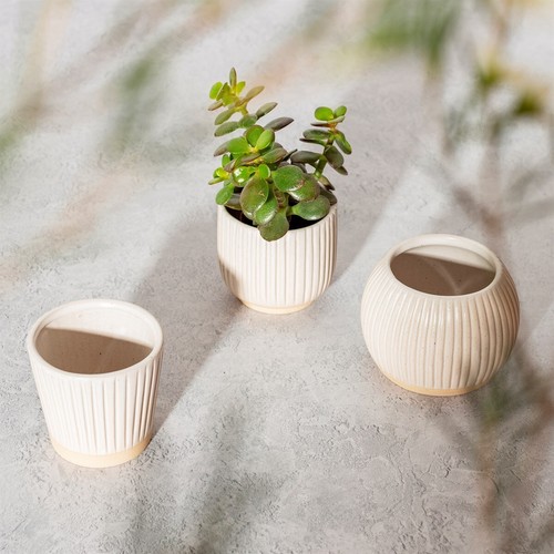 Grooved Planter Small Off White Assorted - Picture 3 of 9