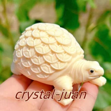 3" Natural Tagua Nut  turtle Carved Tagua Nut Skull Reiki Healing Gift 1pc