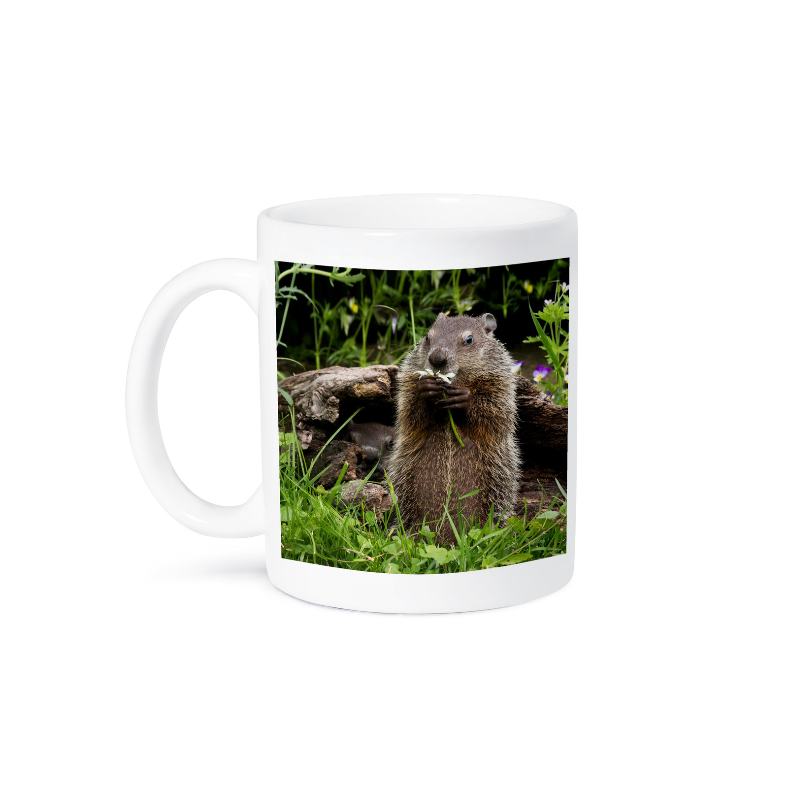 Minnesota Sandstone Groundhog Feeding on Flower Mug by 3dRose