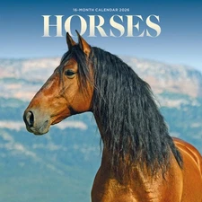 2026 Horses Mini Wall Calendar Mini by Carousel Calendars