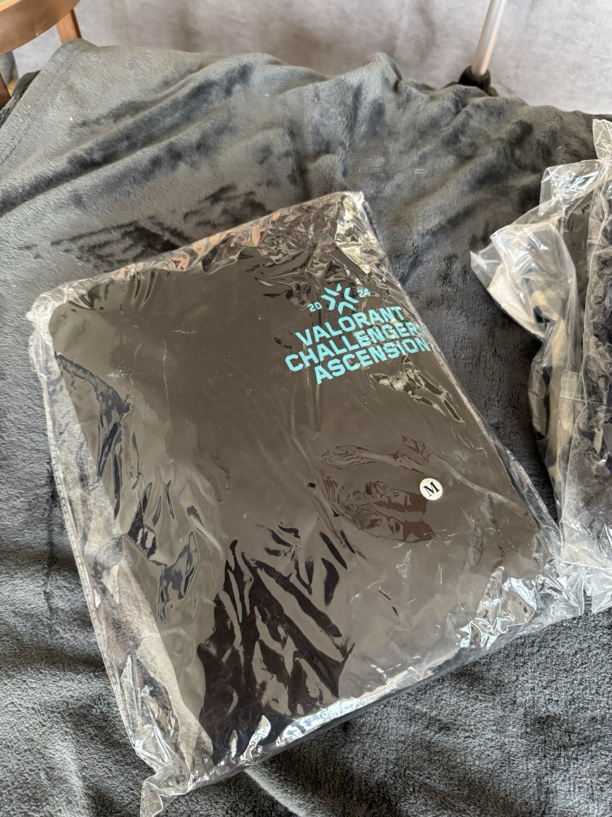 VCT EMEA Ascension 2024 hoodie  3